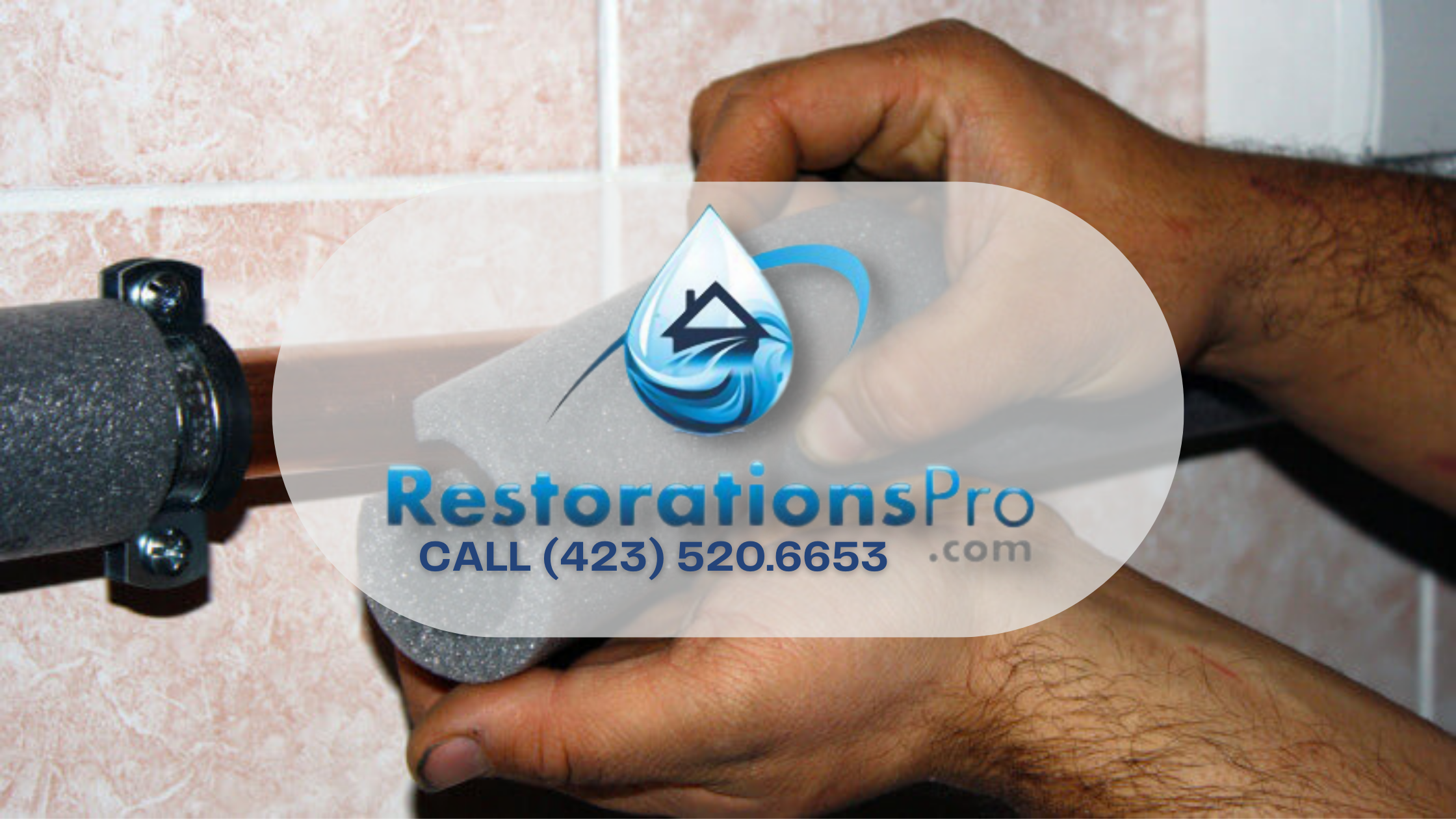 restoration pro services